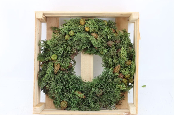 <h4>Wr Cypresse Pinecone 40cm</h4>
