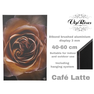 Display Cafe-latte