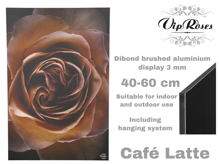 <h4>Display Cafe-latte</h4>