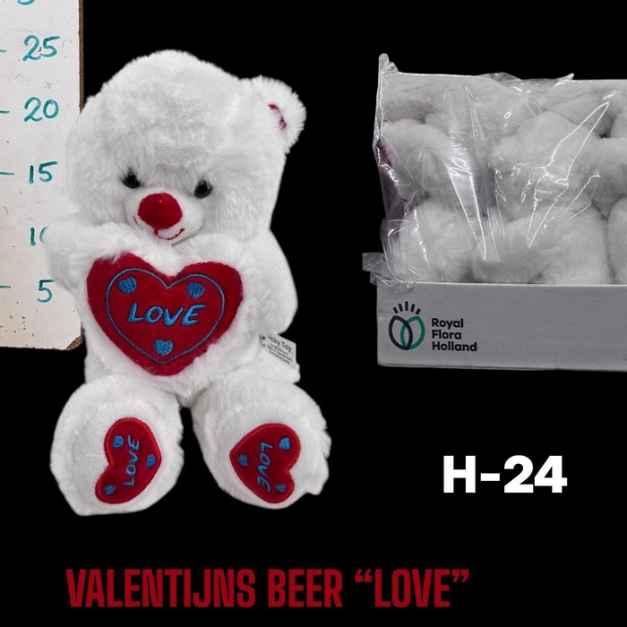 <h4>HUIS EN TUINDECO H%</h4>