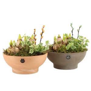 11674: Outdoor spring arrangement