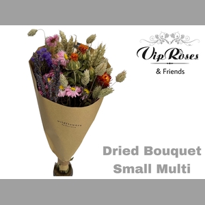 DRIED BOUQUET SMALL MULTI x12