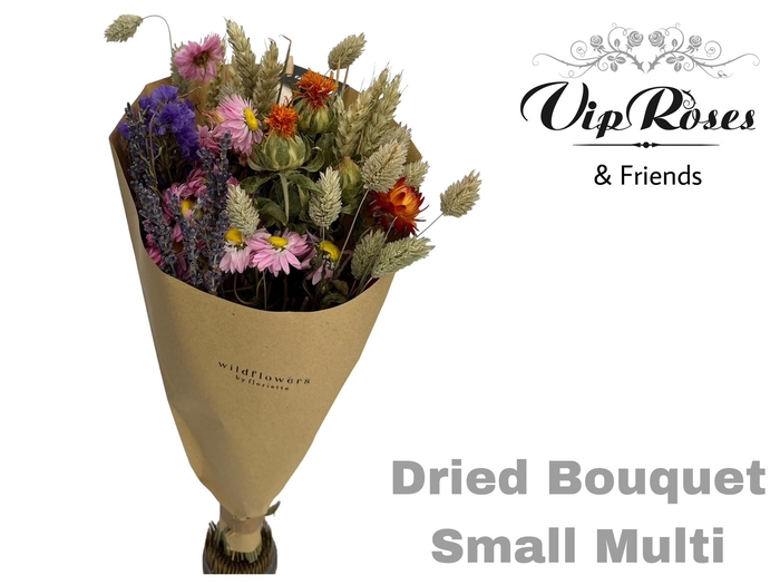 Dried Bouquet Small Multi X12