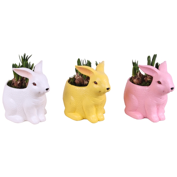 <h4>Easter Arr. Narcis Ceramic Colorful Easter Rabbit Mix Ø18cm</h4>