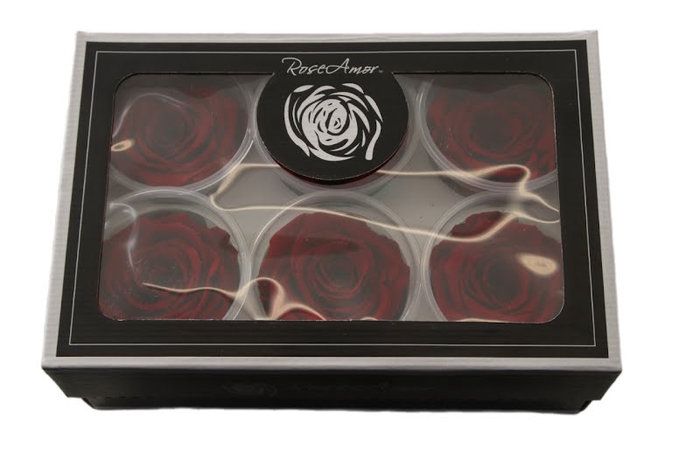 R P 01 Dark Red XL