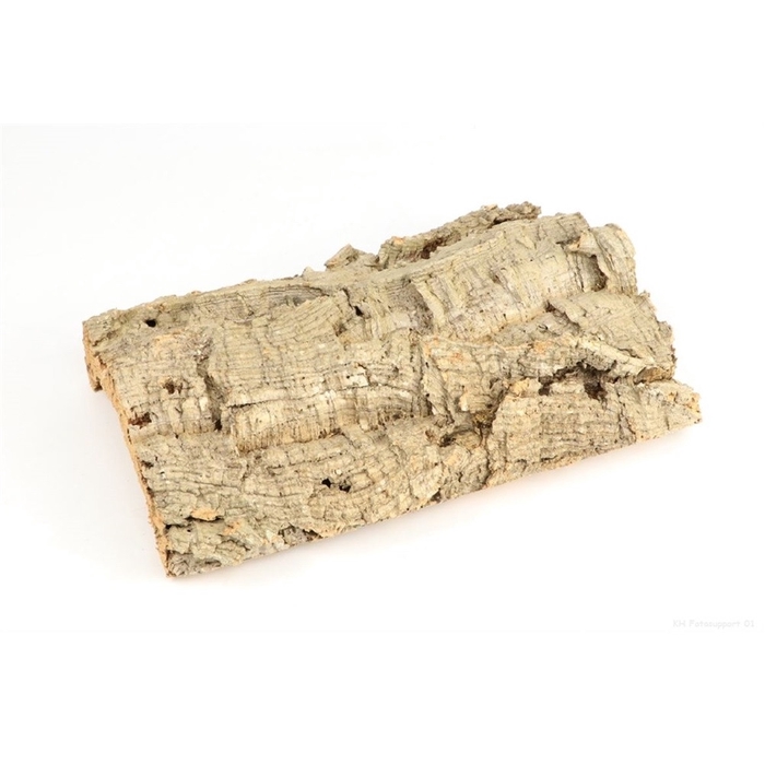 <h4>Dried articles Cork 26*36cm</h4>