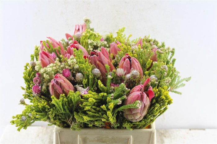 <h4>Protea Boeket 3 Protea</h4>