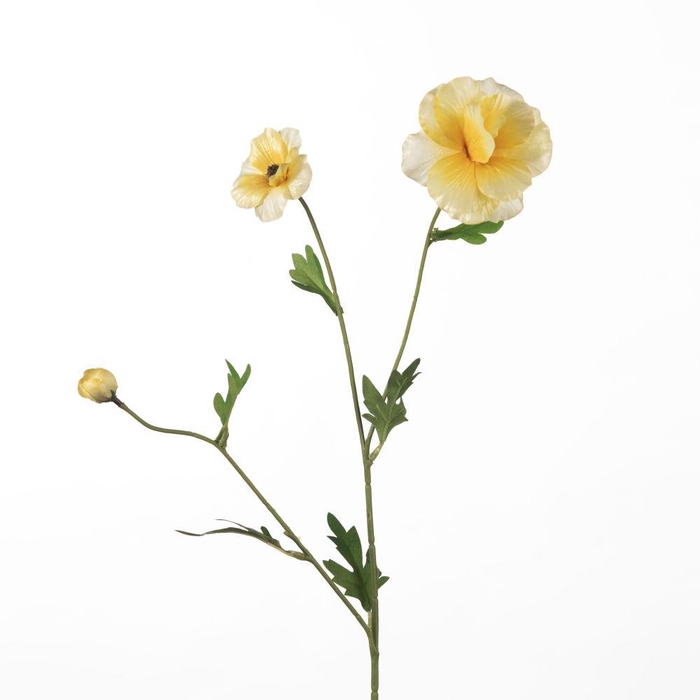<h4>AF Ranunculus Bu L58cm Yellow</h4>