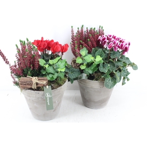 arr4 Outdoor MB - Bloempot choco