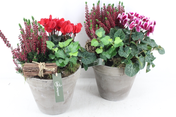 <h4>arr4 Outdoor MB - Bloempot choco</h4>