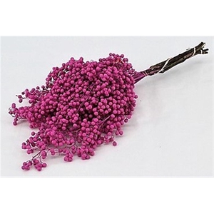Schinus M Pt Metallic Pink Bunch