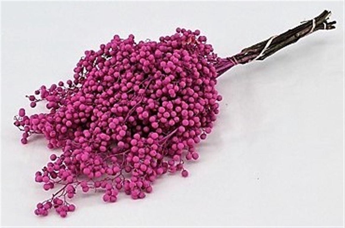 <h4>Schinus M Pt Metallic Pink Bunch</h4>