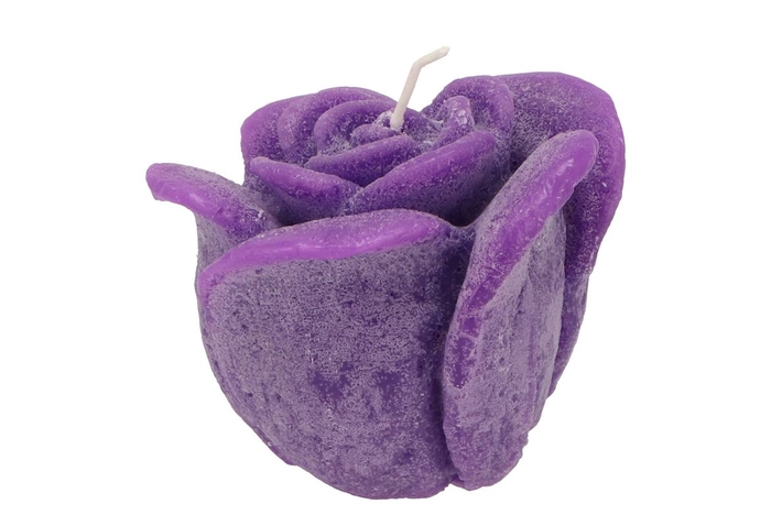 Candle Roos Purple 11x9cm