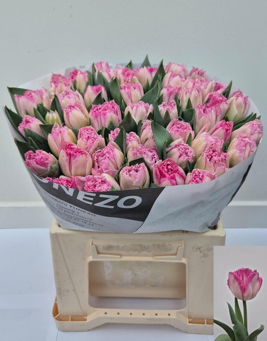 <h4>TU FR LOVE CRYSTAL</h4>