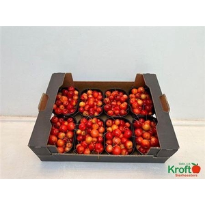 F Malus Red Sentin Bak