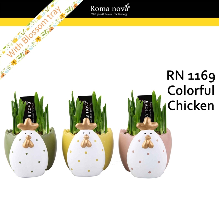 <h4>Narcissus Arrangement</h4>