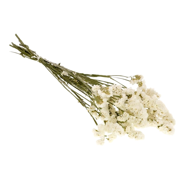 <h4>Droogbloemen - Statice White</h4>