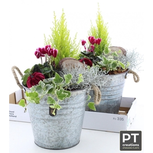 ARR TUINPLANTEN H%
