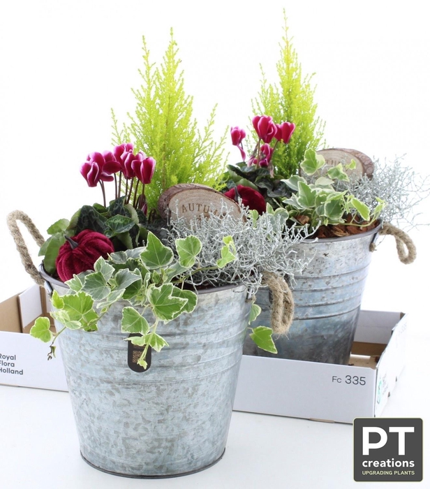 <h4>ARR TUINPLANTEN H%</h4>