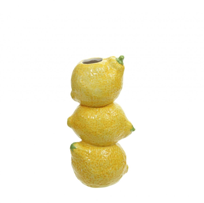 <h4>Promo Lemon vaas x3 d2/10*21cm</h4>