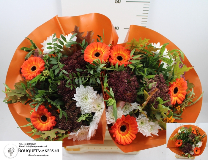 <h4>GEM BOEKET OV</h4>