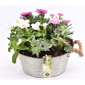 Zink schaal vlinderopdr. 27cm