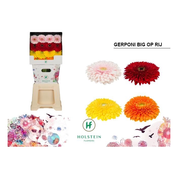 <h4>Ge Gbv Gerp B Gem Ry</h4>