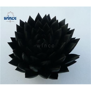 Echeveria Agavoides Paint Black Cutflower Wincx-10cm