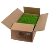 Ijslandmos (reindeer) Light Green Bulk