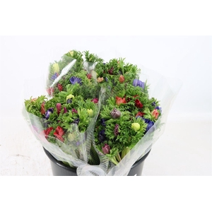 Anem Co Jerusal Mixed