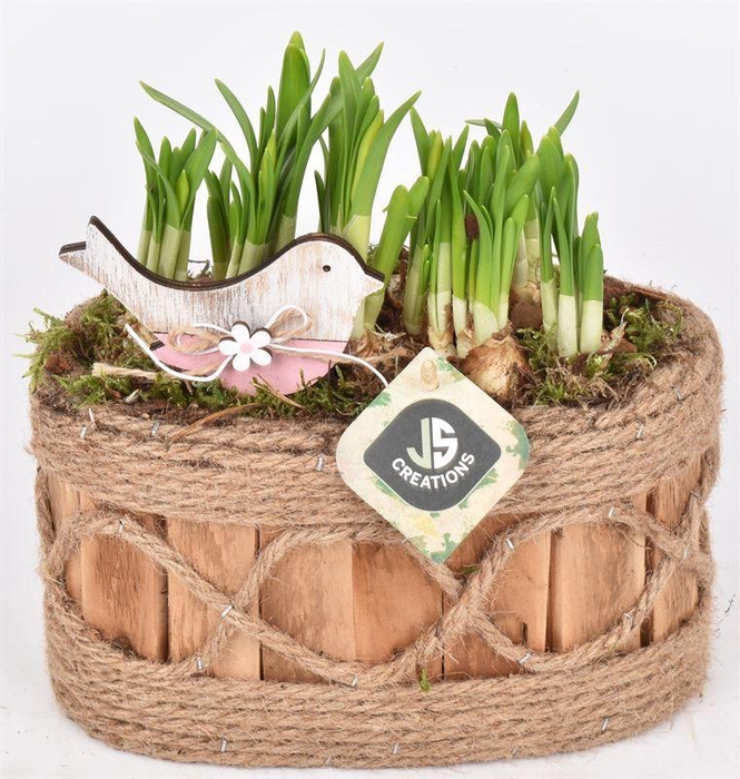 <h4>Hout ovaal met touw 21x11.5cm</h4>