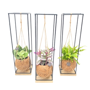 Kokodama 12 cm Industrial Hanging Green mix