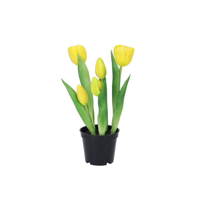 <h4>Silk Tulip In Pot 5x Yellow 26cm</h4>
