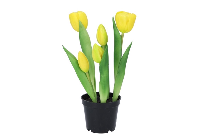 <h4>Silk Tulip In Pot 5x Yellow 26cm</h4>