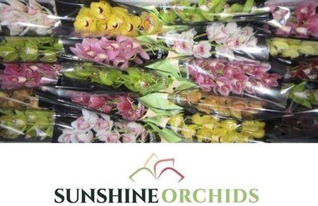 <h4>Cymb Mi Gemengd</h4>