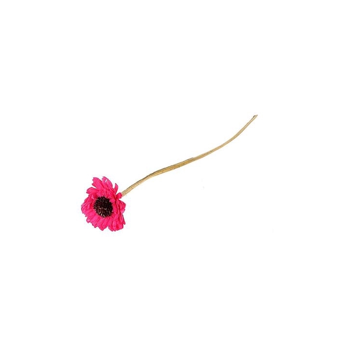 <h4>Artificial Flower Germini L50</h4>