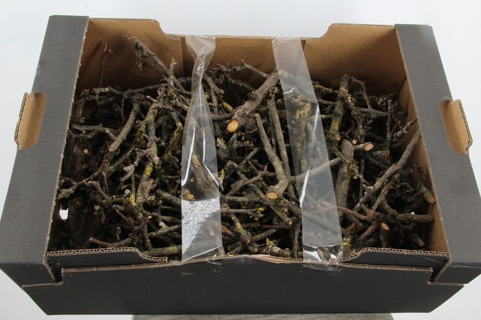 <h4>Pear Wood in Box</h4>