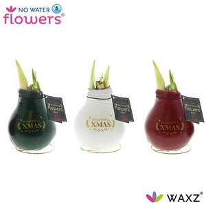 No Water Flowers Waxz® Message Printz Xmas