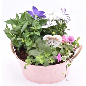 Zink schaal roze hart 25cm