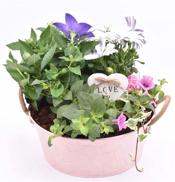 <h4>Zink schaal roze hart 25cm</h4>