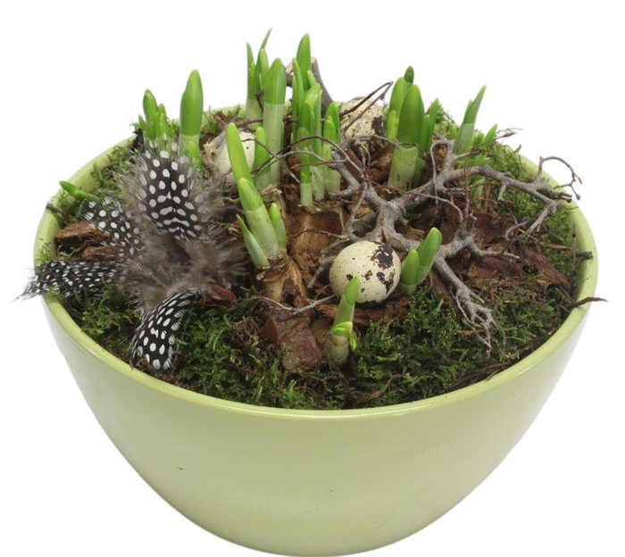 <h4>2428 KER GROEN TETE</h4>