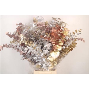 Euc Cinerea Met. Mix