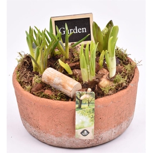 Cement schaal terra kleur 20.5cm