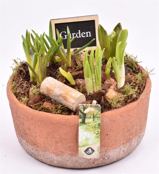 <h4>Cement schaal terra kleur 20.5cm</h4>