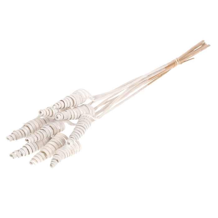 Cane cone 10pc white misty