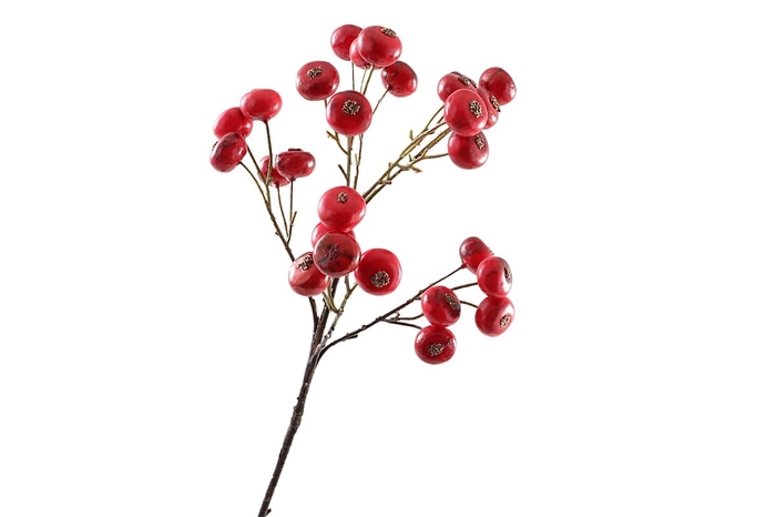 <h4>Berry Spray Red</h4>