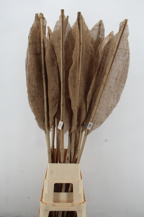 <h4>DF Leaf Bamboo Rib 180cm L.Nat</h4>
