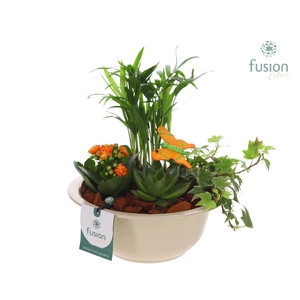 Zinken schaal met Arrangement