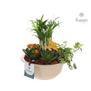 Zinken schaal met Arrangement