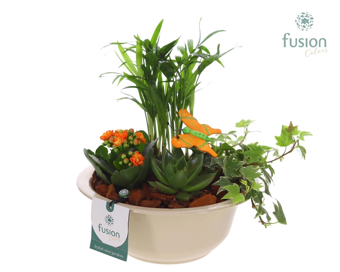 <h4>Zinken schaal met Arrangement</h4>